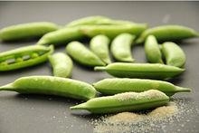 Pea Protein Powder DOSAGE AND SUGGESTED USE