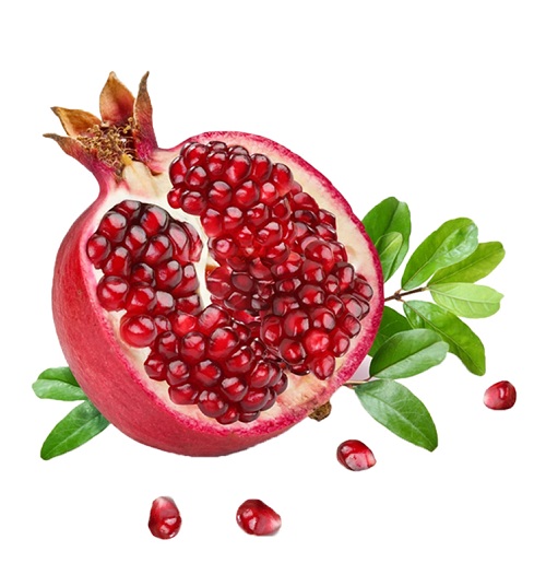 Pomegranate seed oil Cas No.: 84961-57-9