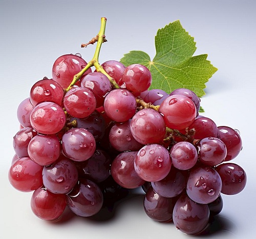Grape Seed Oil Cas No.: 85594-37-2;8024-22-4