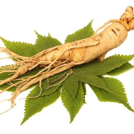Ginseng P.E. Cas No.: 90045-38-8