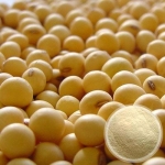 Soya Protein Powder