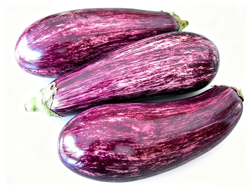 Dried Eggplant Dehydrated Aubergine