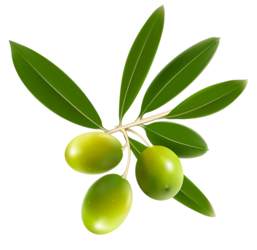 Olive Leaf Extract CAS No.: 32619-42-4