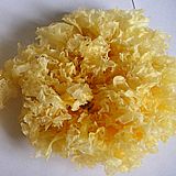Tremella Mushroom Cas No.: 9075-53-0