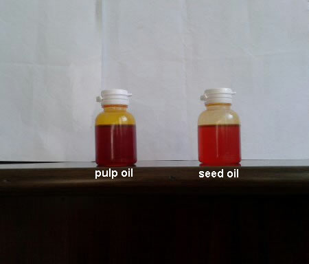 Alcohol free Safety Food Grade disinfection liquid, sanitizer