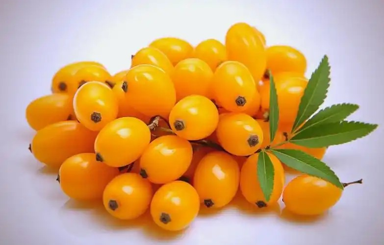 Seabuckthorn Pulp Oil Cas No.: 90106-68-6